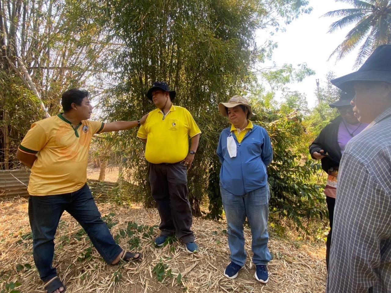 ภาพประกอบที่ 0