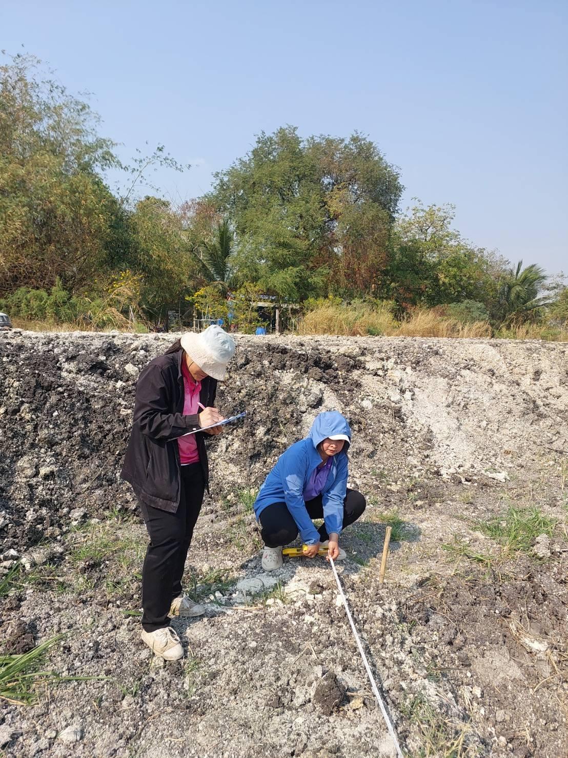 ภาพประกอบที่ 3