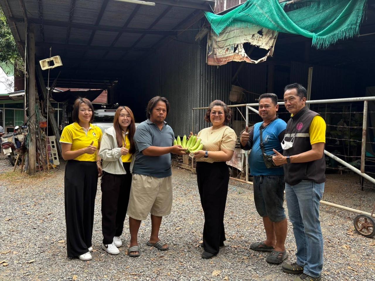 ภาพประกอบที่ 7