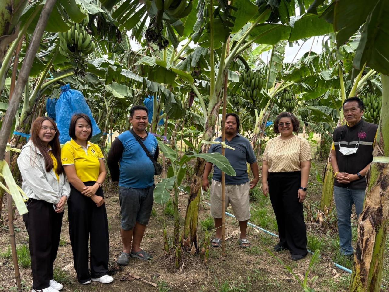 ภาพประกอบที่ 11