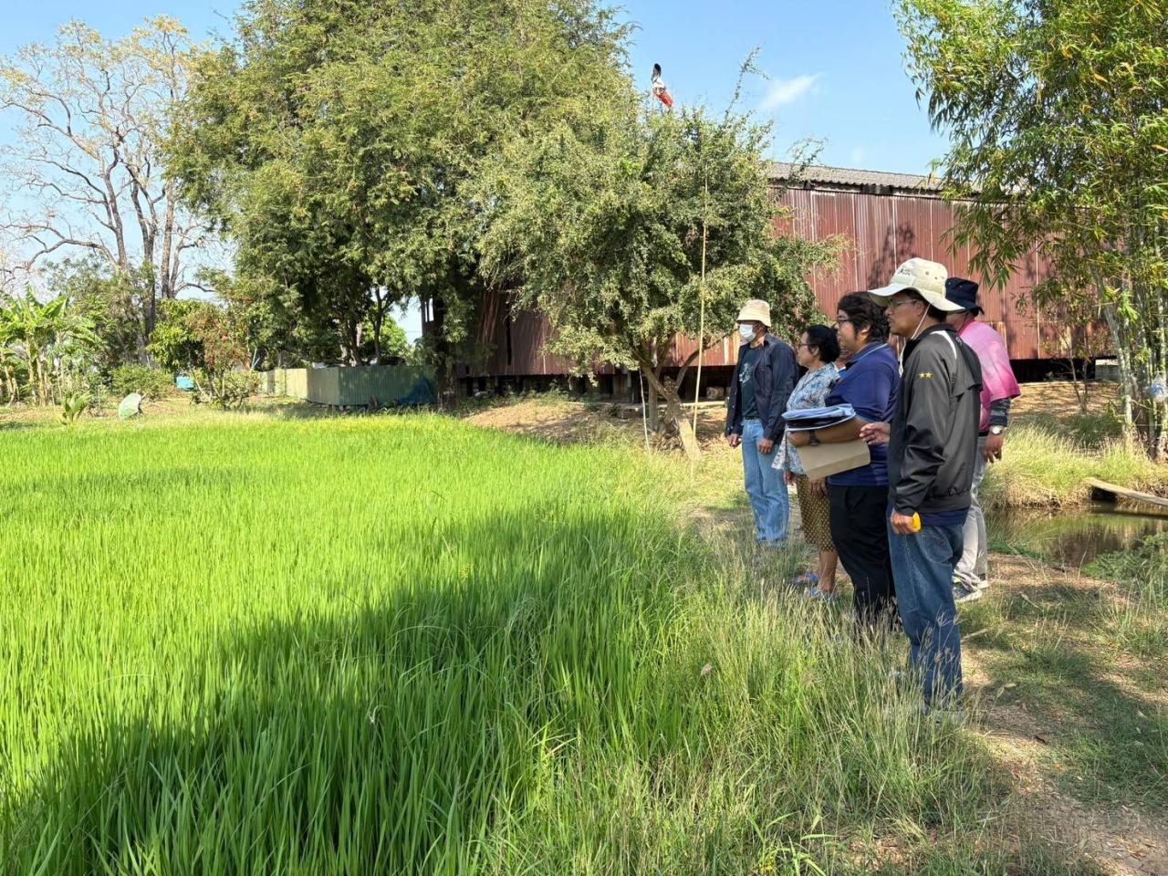 ภาพประกอบที่ 2