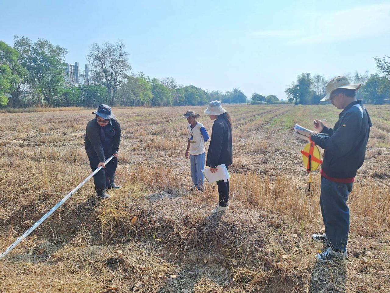ภาพประกอบที่ 2