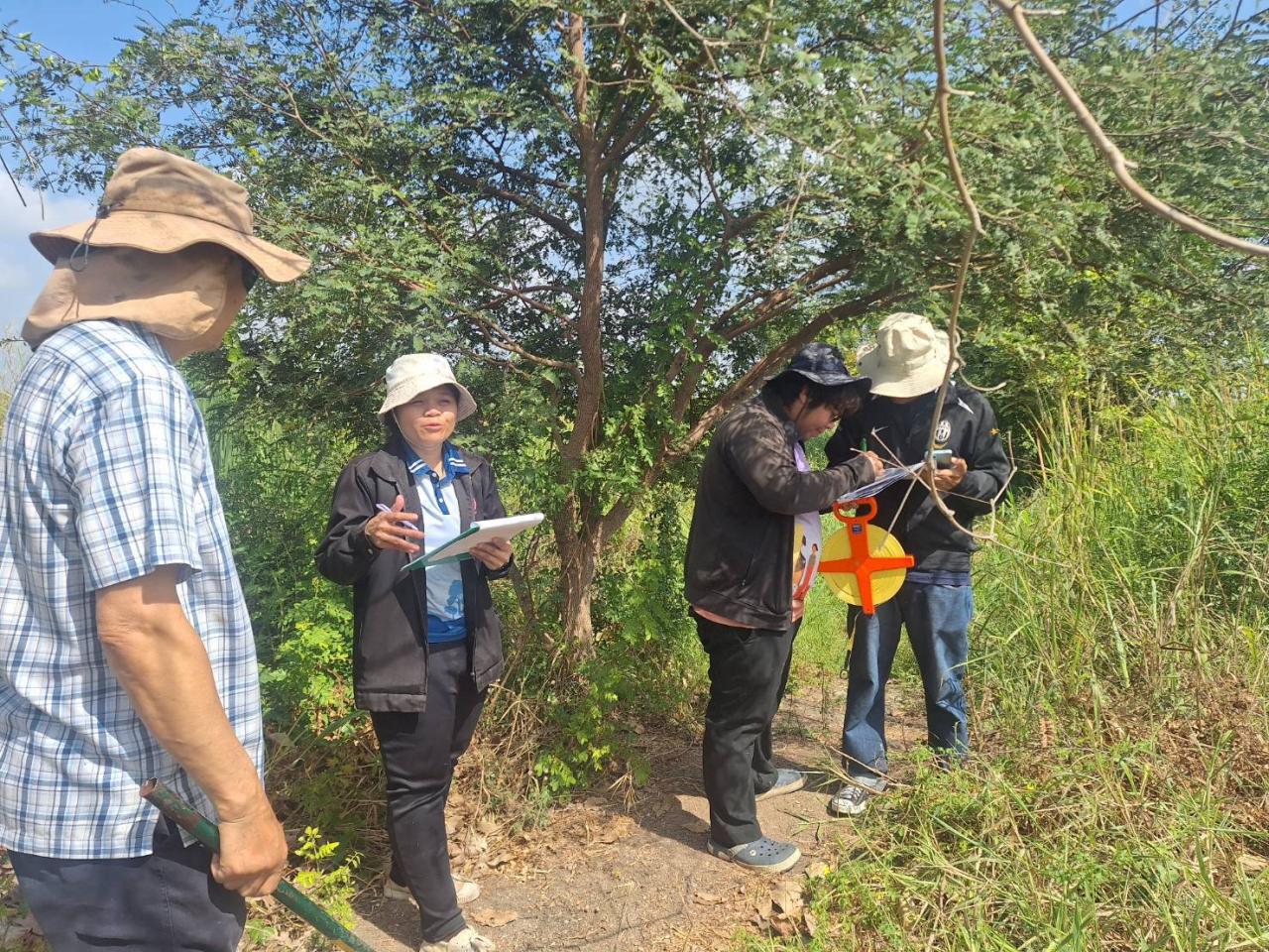 ภาพประกอบที่ 1