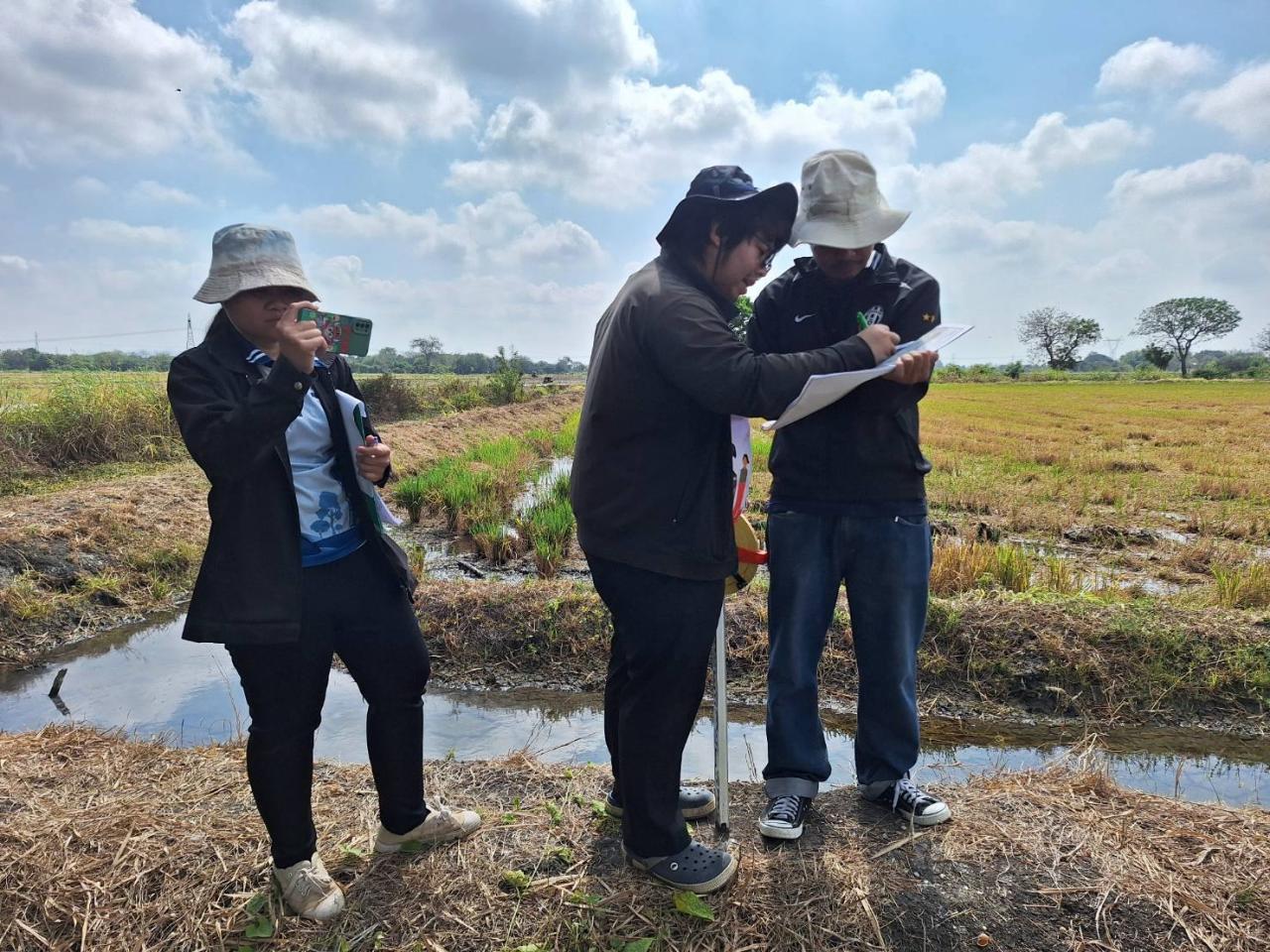 ภาพประกอบที่ 4