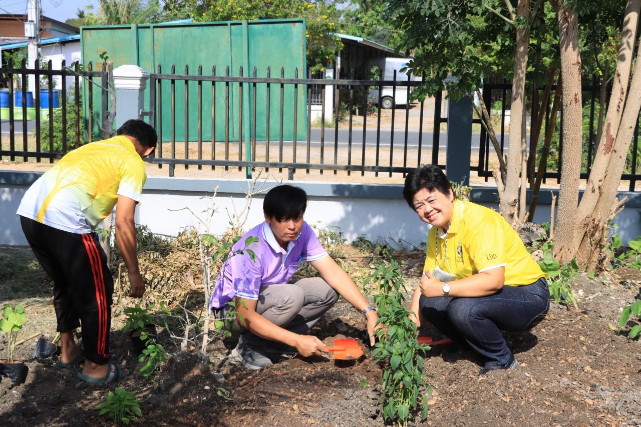 ภาพประกอบที่ 6