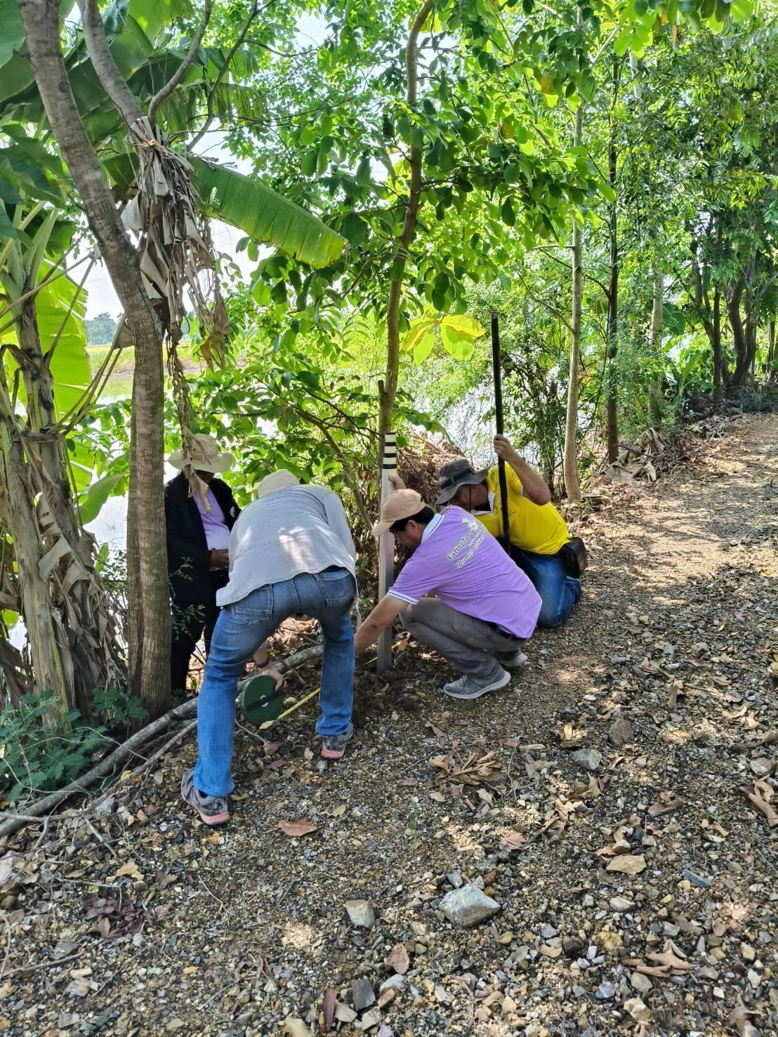 ภาพประกอบที่ 3