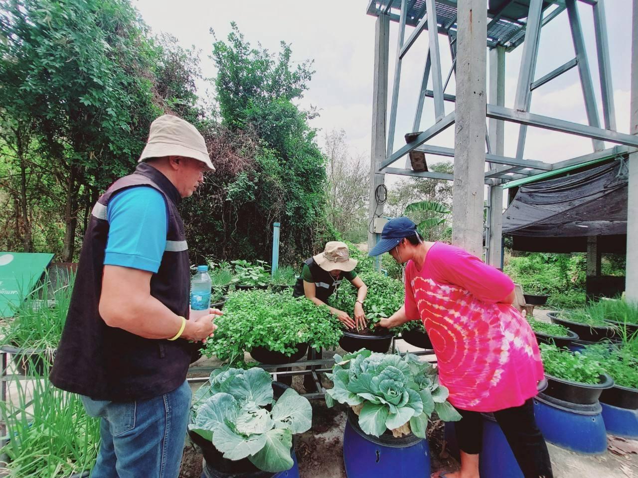 ภาพประกอบที่ 0