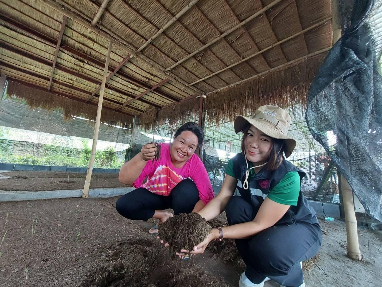 ภาพประกอบที่ 2