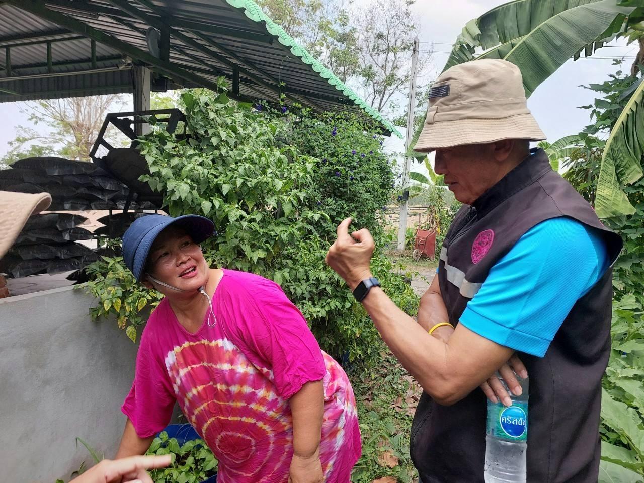 ภาพประกอบที่ 3