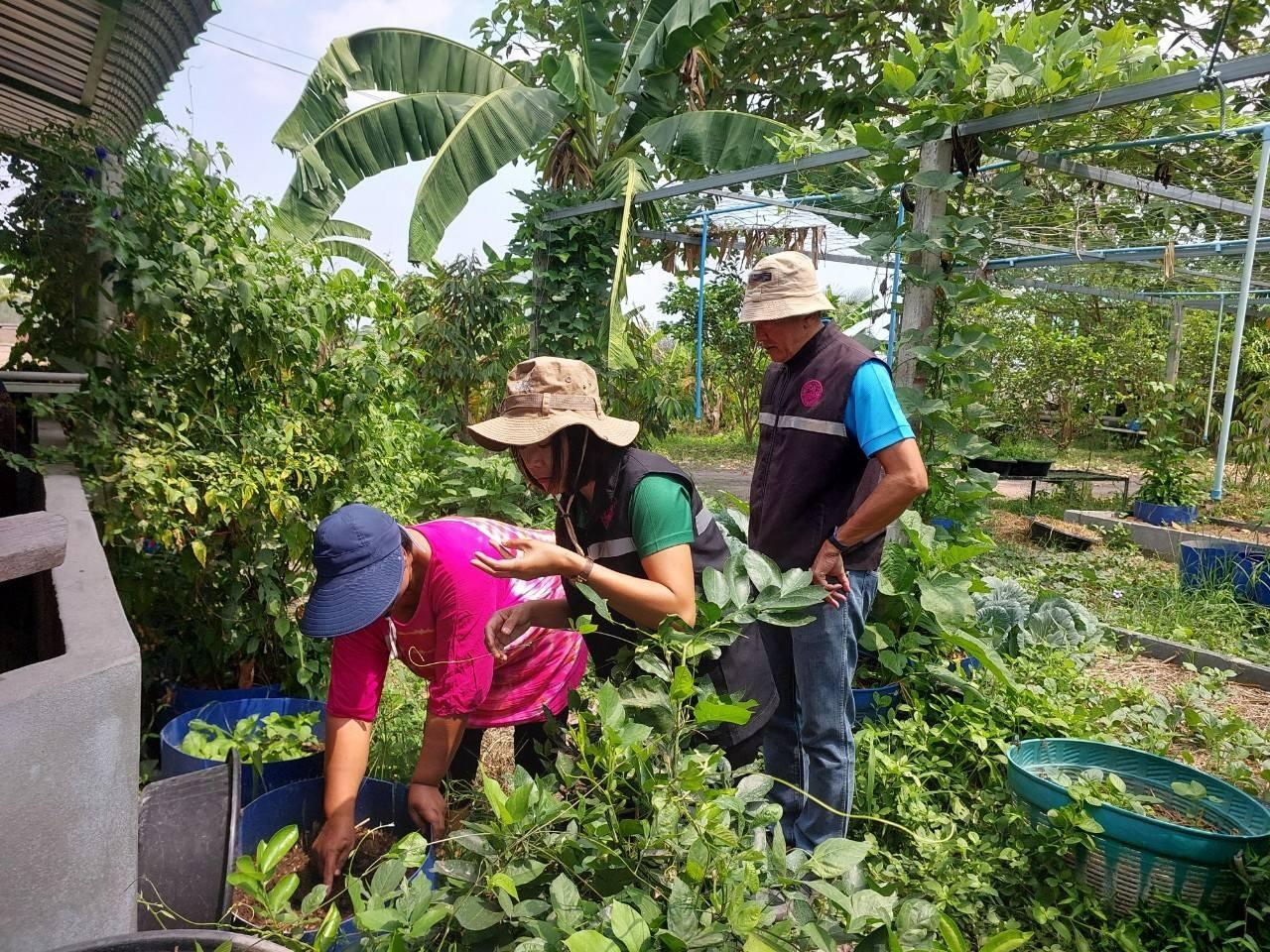 ภาพประกอบที่ 4