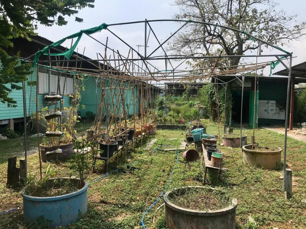 ภาพประกอบที่ 3