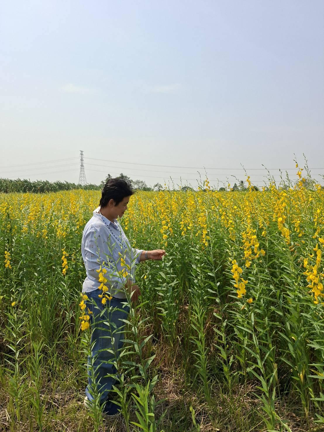 ภาพประกอบที่ 5