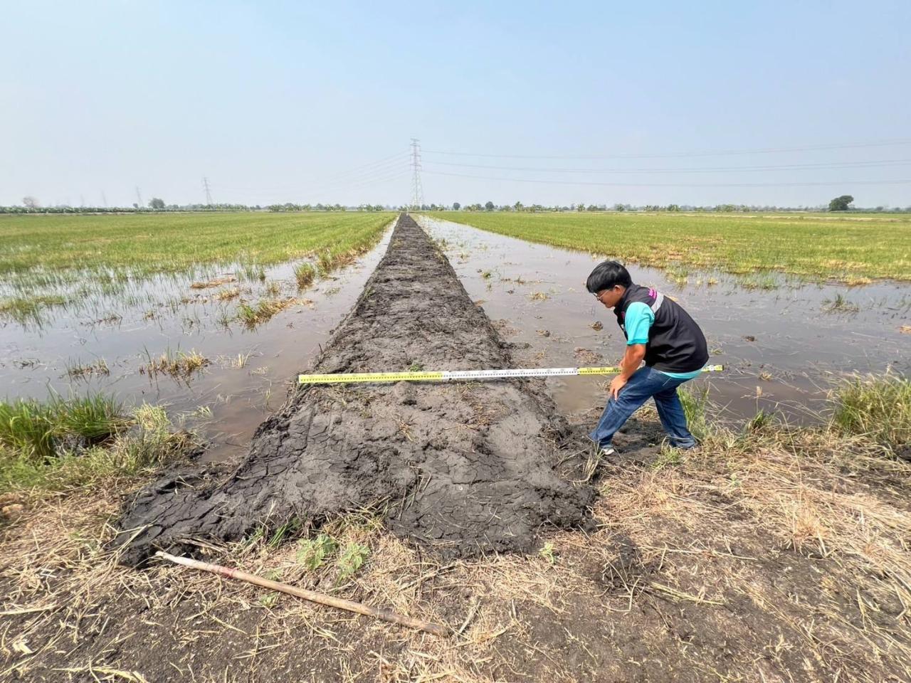 ภาพประกอบที่ 0