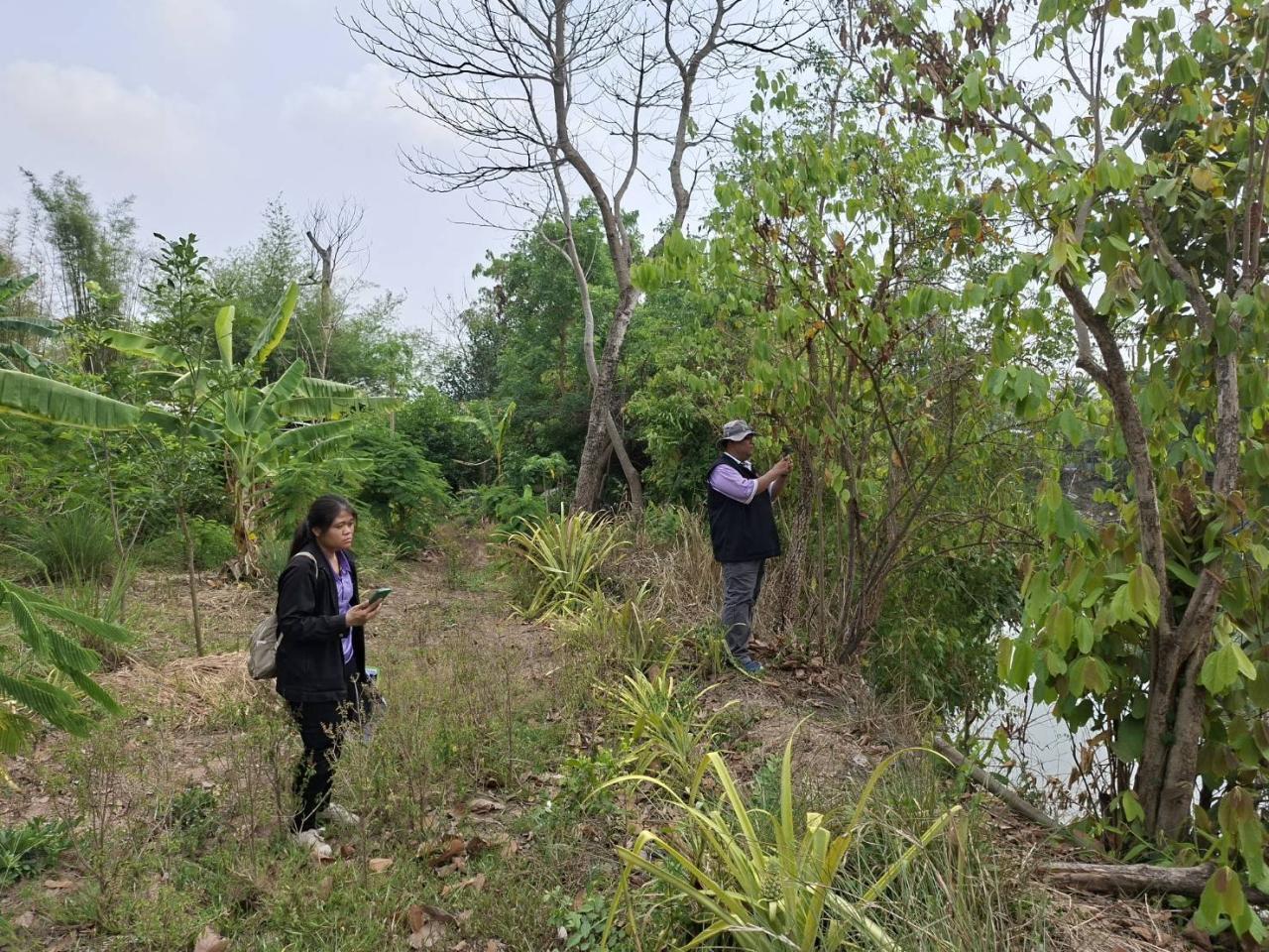 ภาพประกอบที่ 1