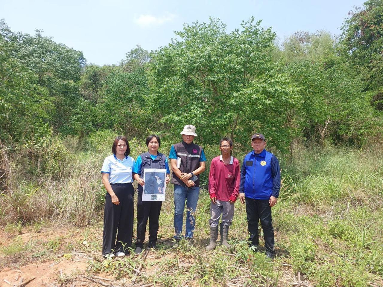 ภาพประกอบที่ 6