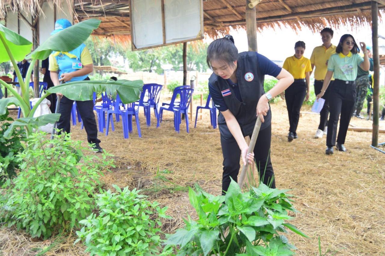 ภาพประกอบที่ 1