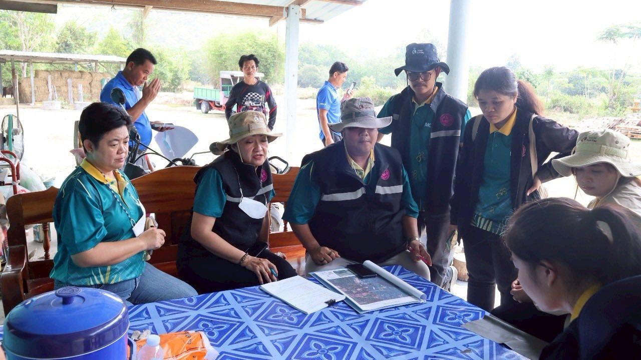 ภาพประกอบที่ 7