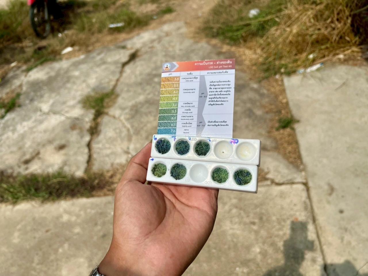 ภาพประกอบที่ 3