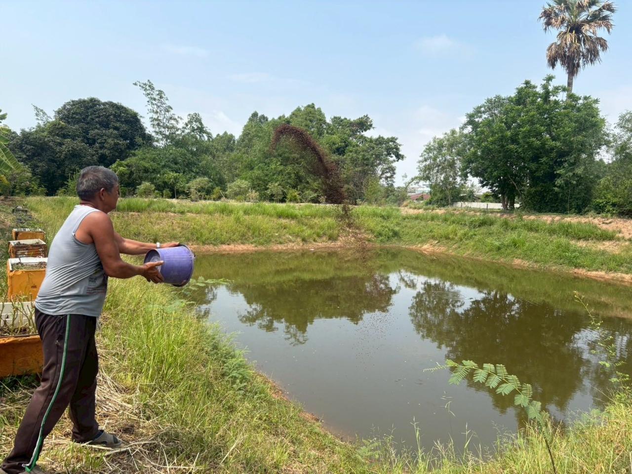 ภาพประกอบที่ 3