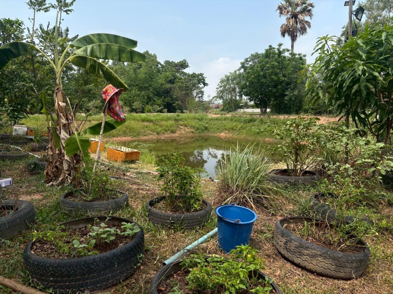 ภาพประกอบที่ 4