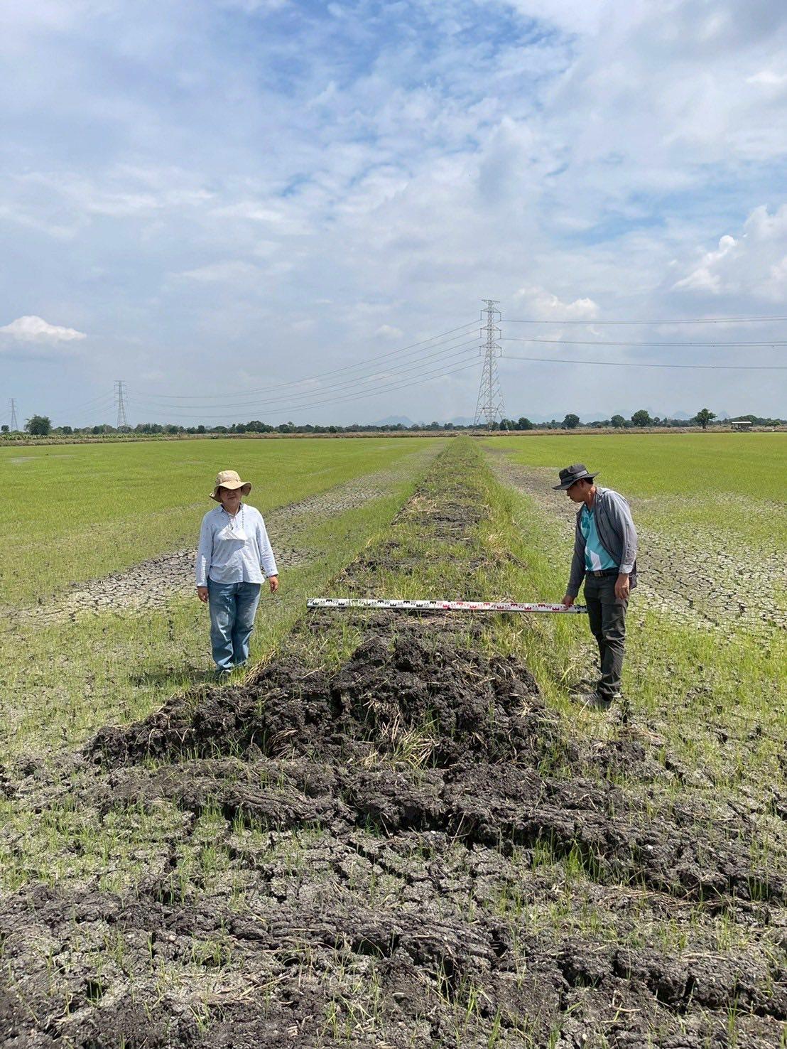 ภาพประกอบที่ 3