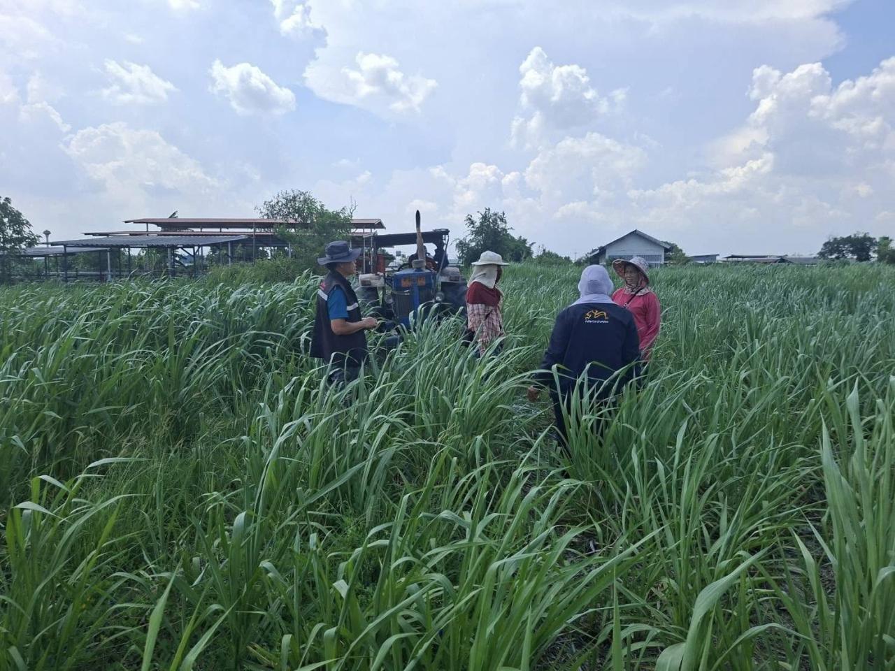 ภาพประกอบที่ 0