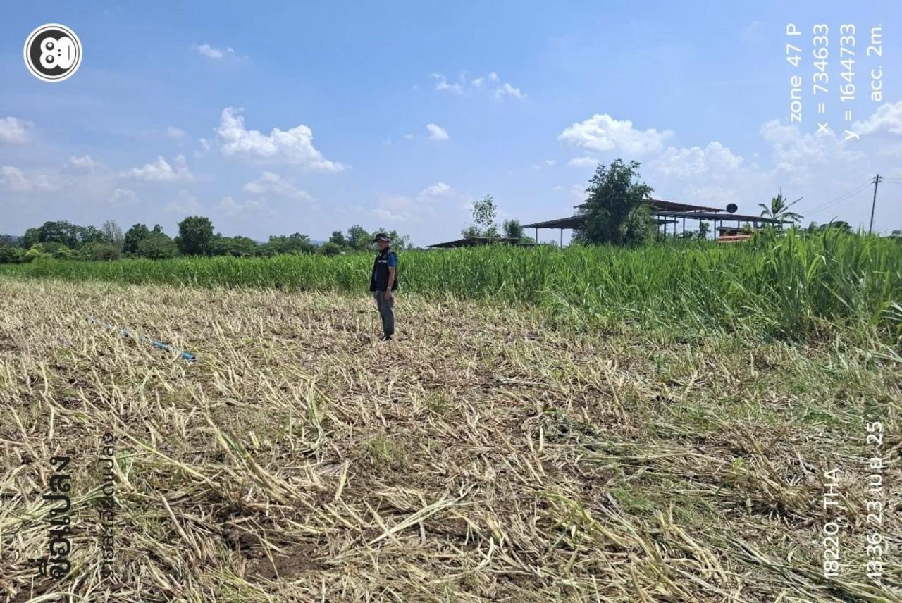 ภาพประกอบที่ 1