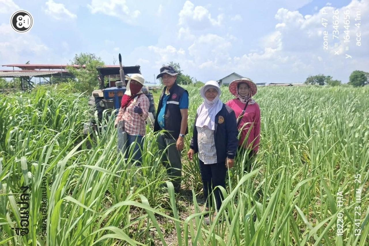 ภาพประกอบที่ 3