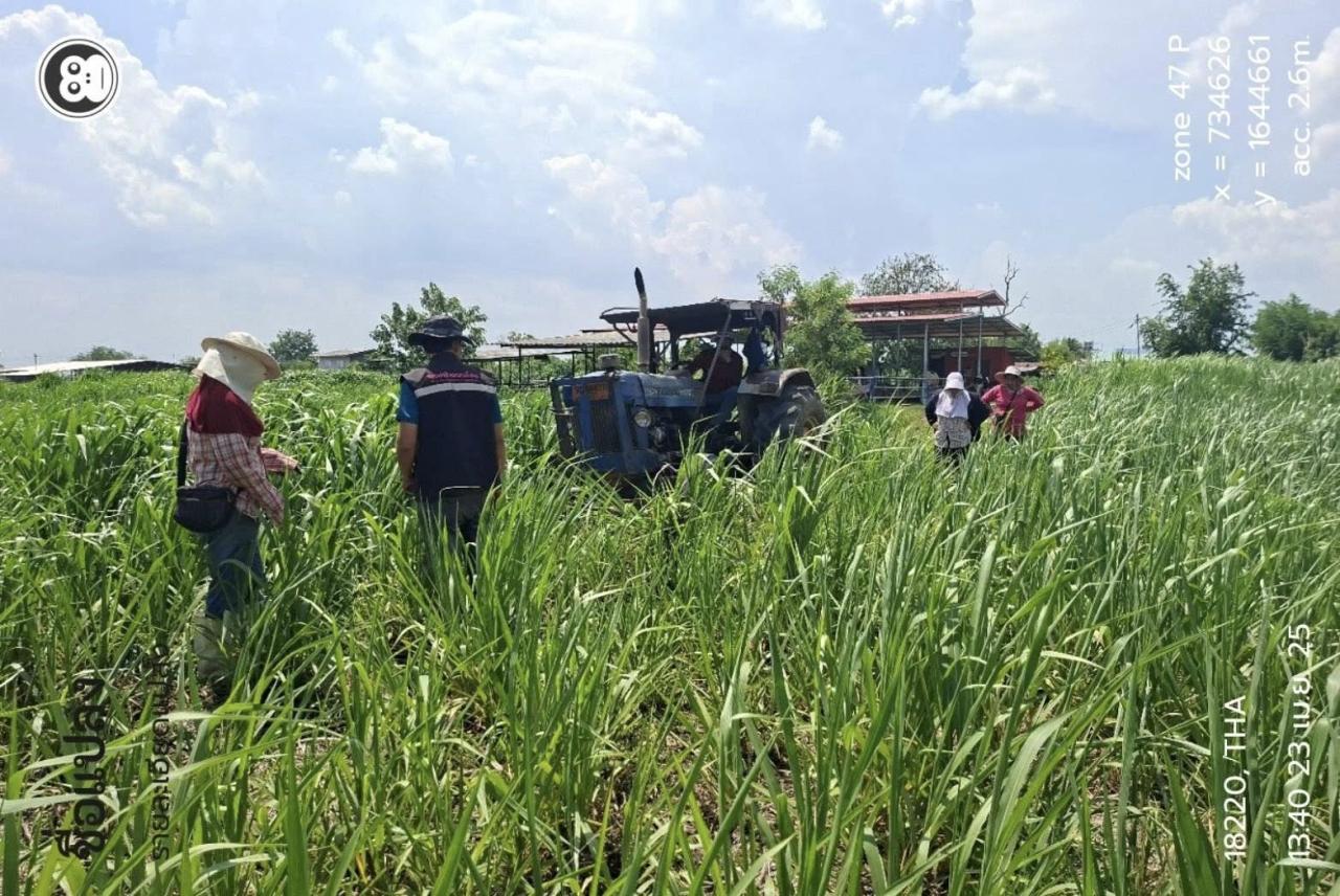 ภาพประกอบที่ 4