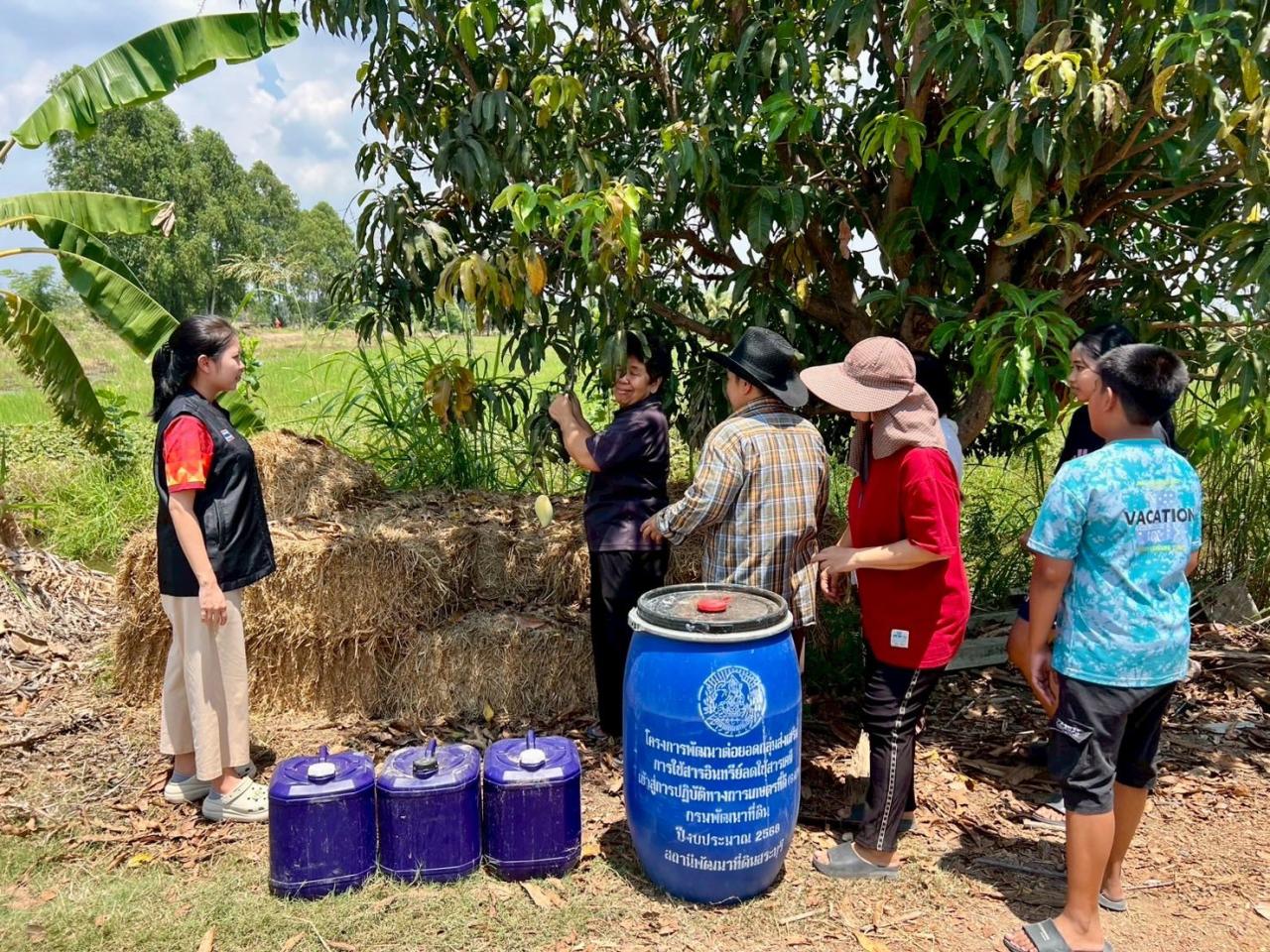 ภาพประกอบที่ 0