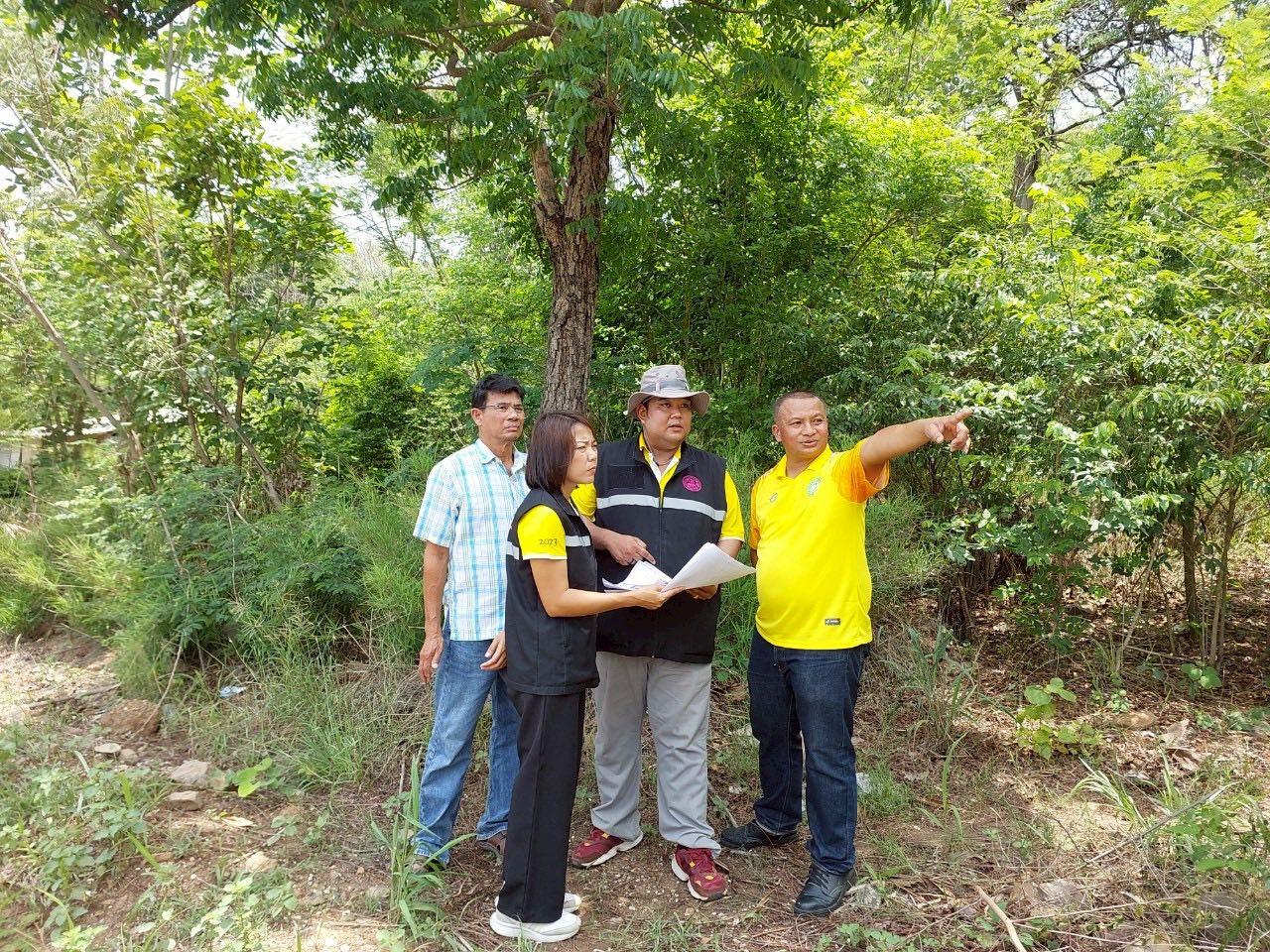 ภาพประกอบที่ 1