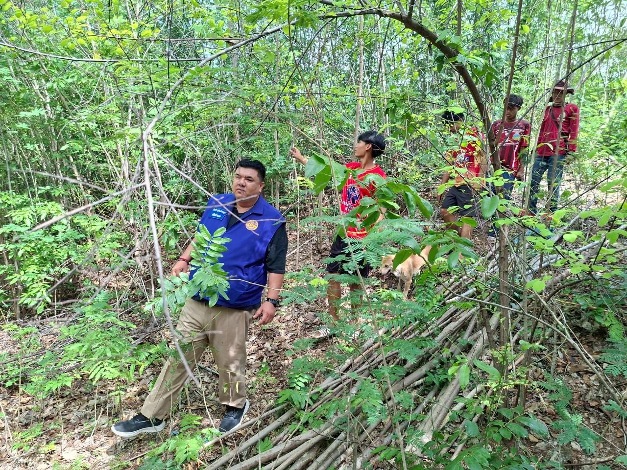 ภาพประกอบที่ 1