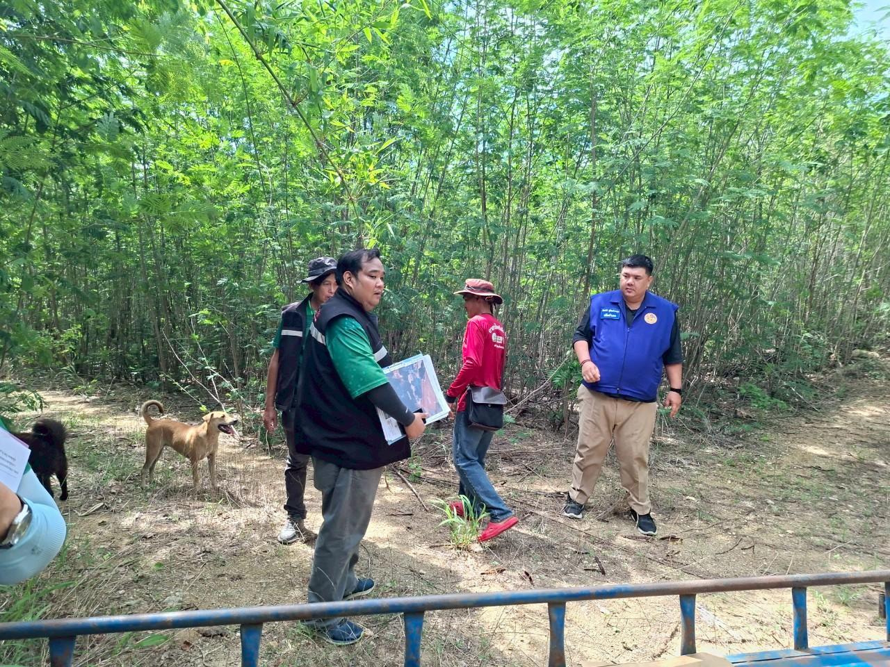 ภาพประกอบที่ 3