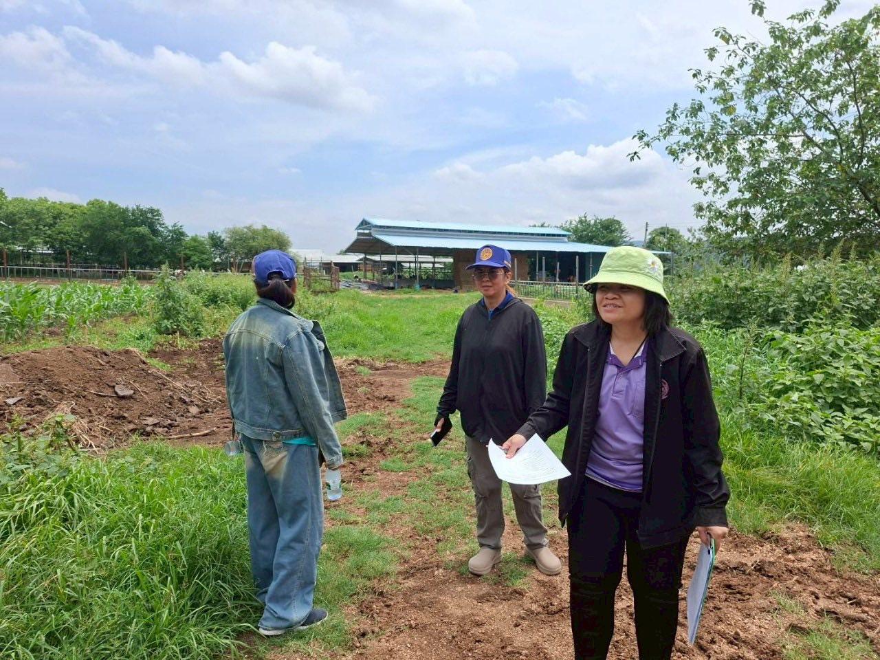 ภาพประกอบที่ 0