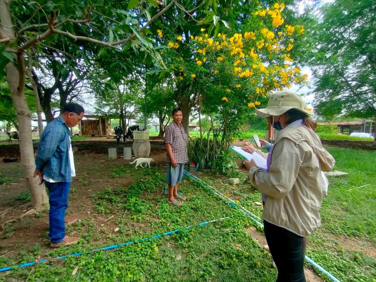 ภาพประกอบที่ 1
