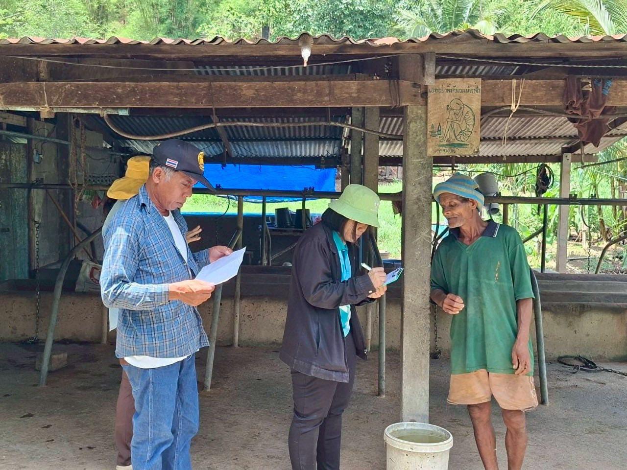 ภาพประกอบที่ 6