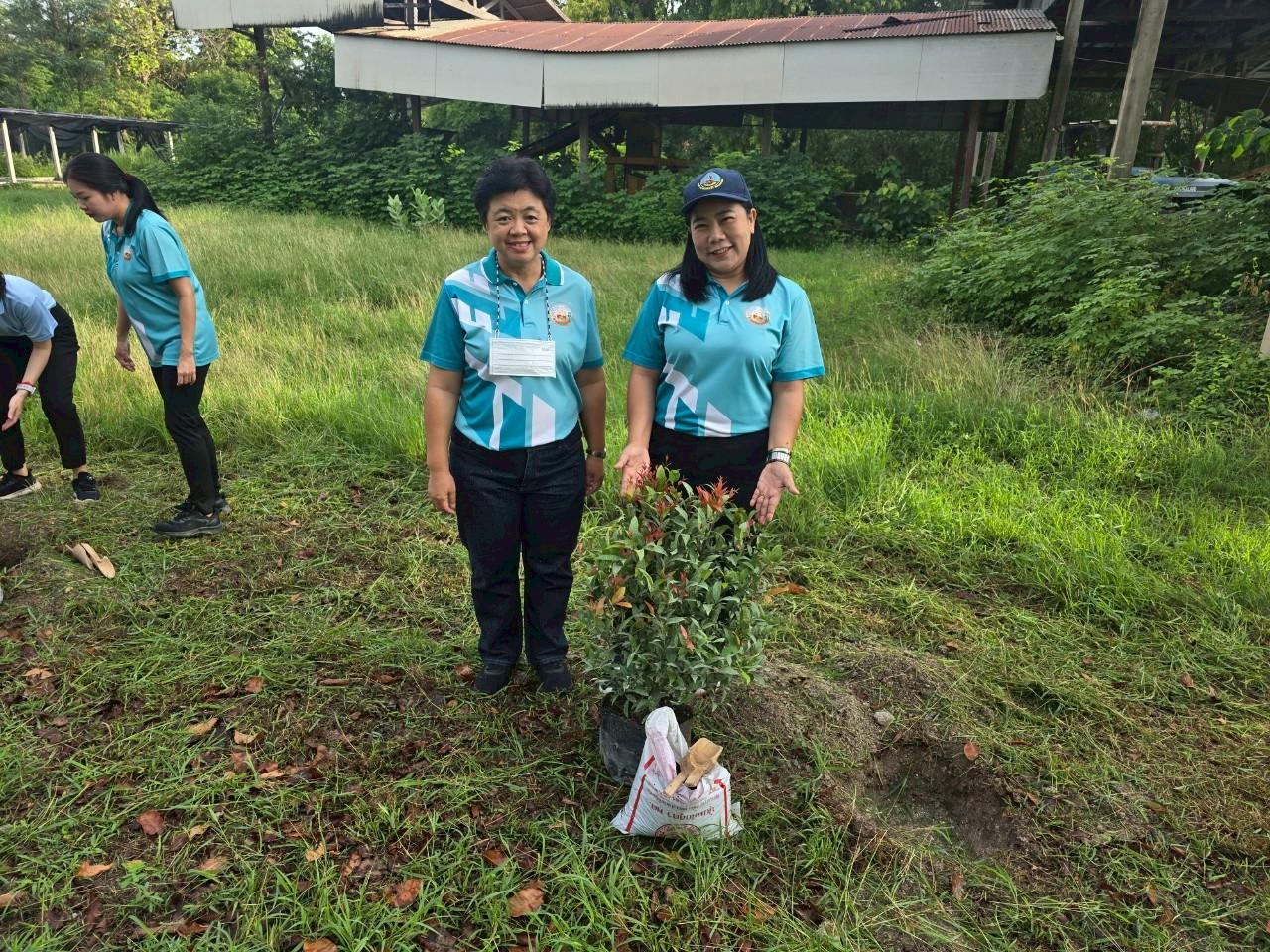 ภาพประกอบที่ 0
