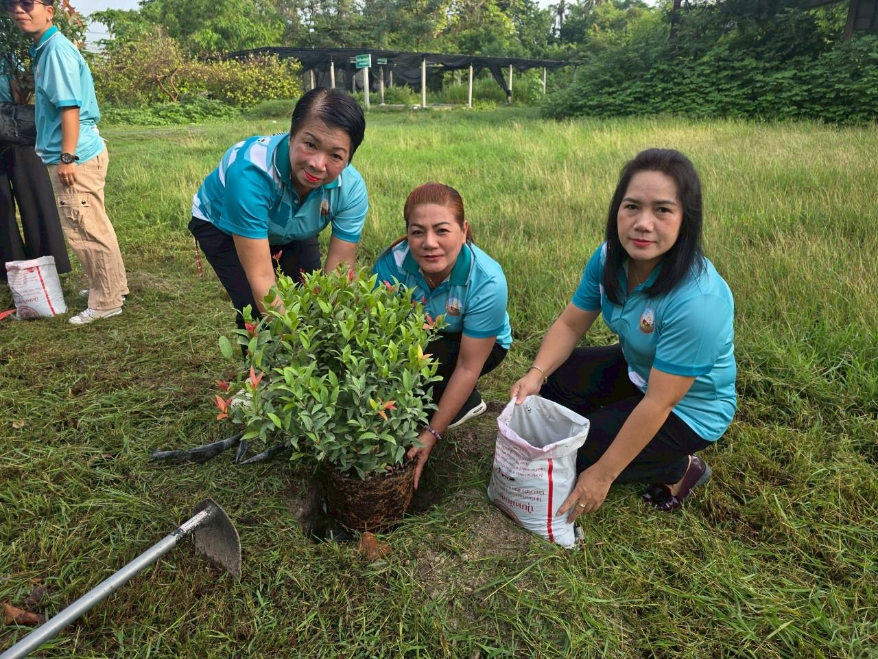 ภาพประกอบที่ 2