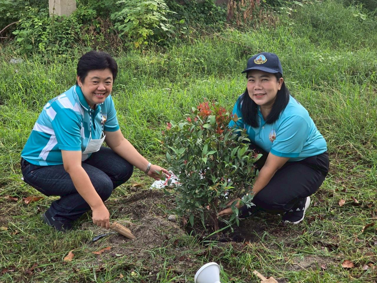 ภาพประกอบที่ 6