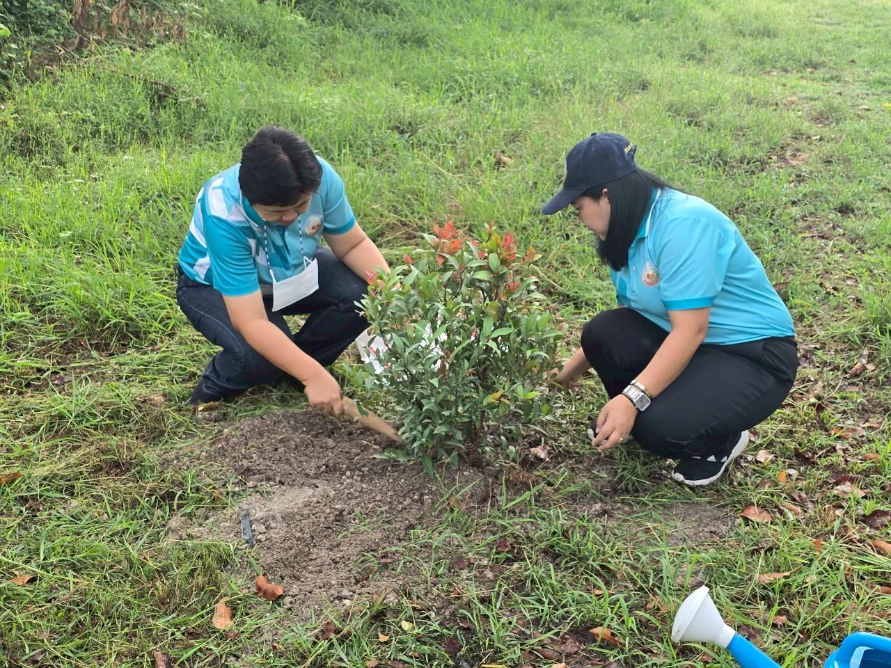 ภาพประกอบที่ 7