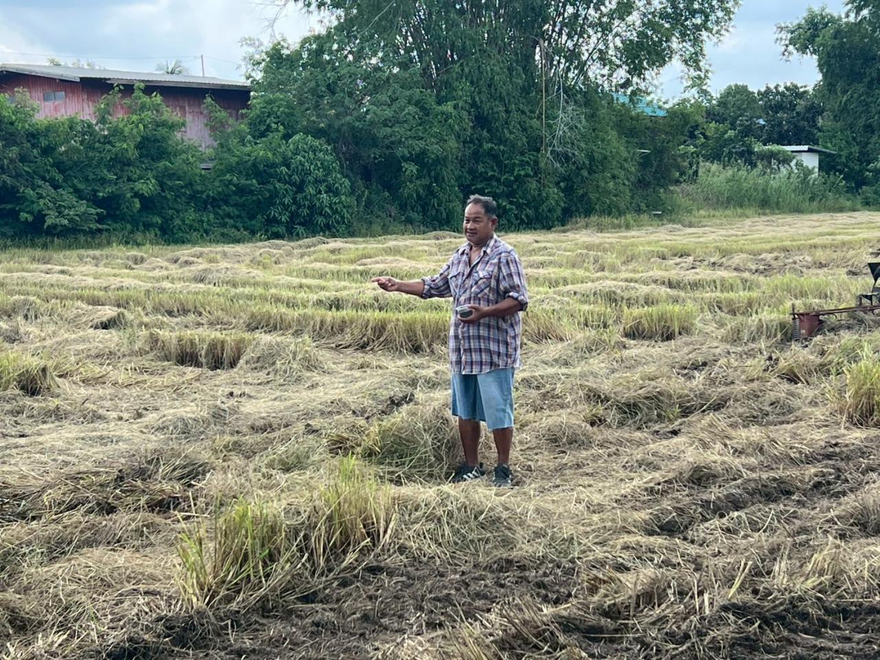 ภาพประกอบที่ 0