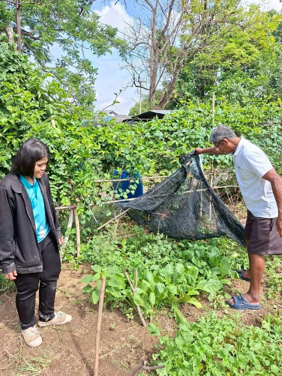 ภาพประกอบที่ 0