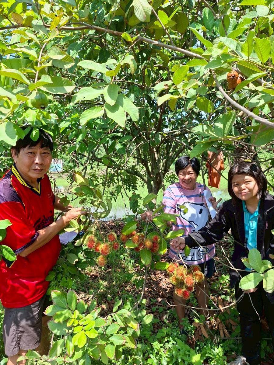 ภาพประกอบที่ 1