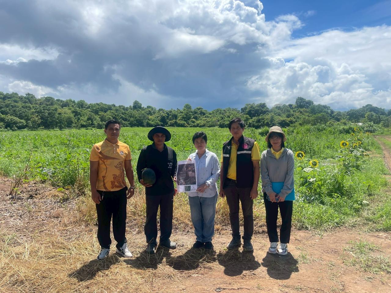 ภาพประกอบที่ 1