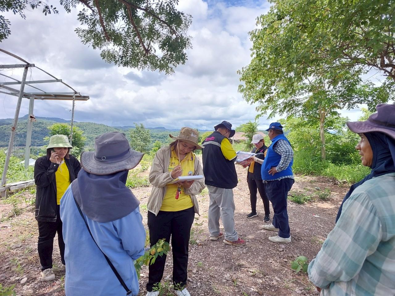 ภาพประกอบที่ 9