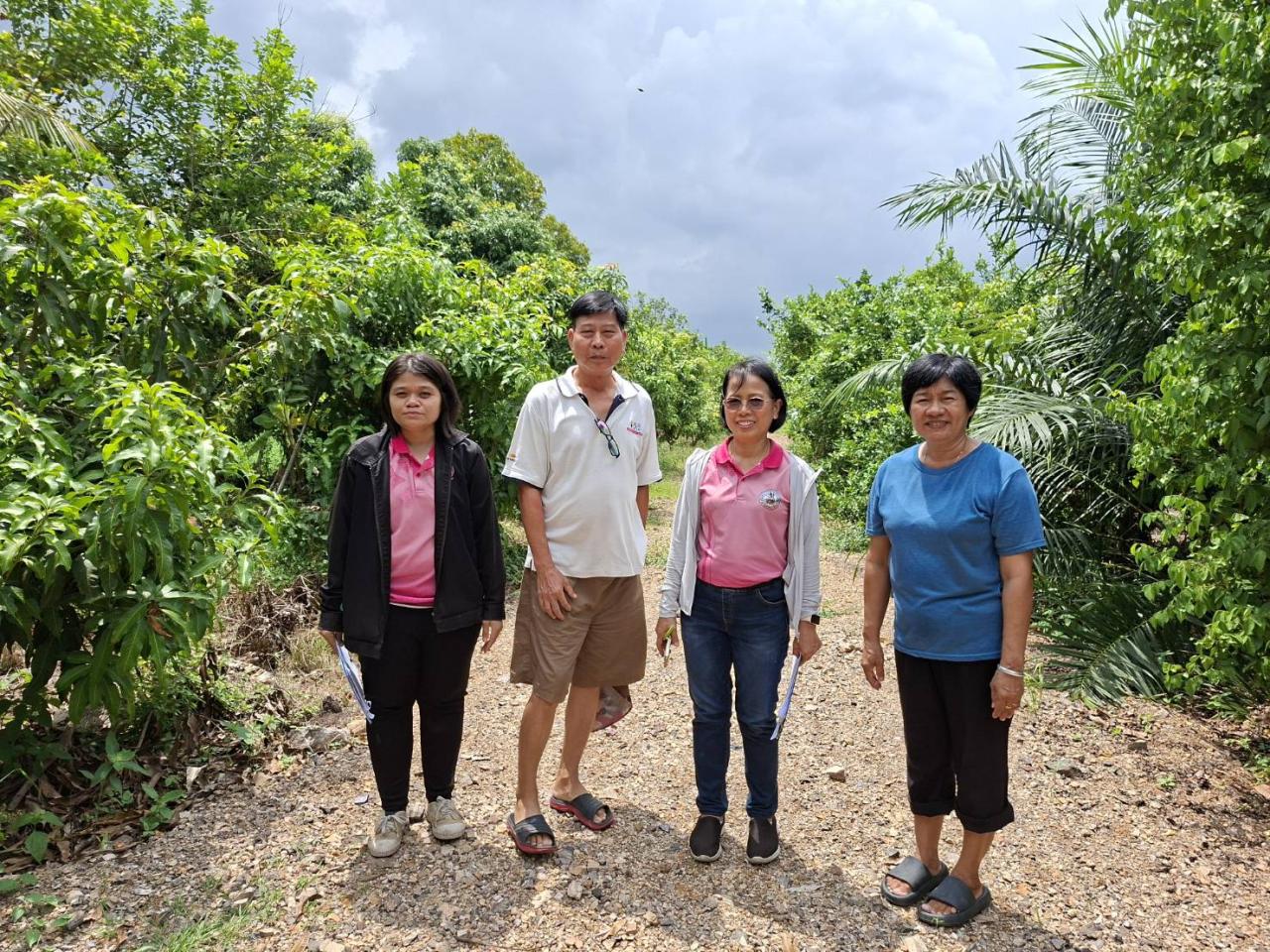 ภาพประกอบที่ 19