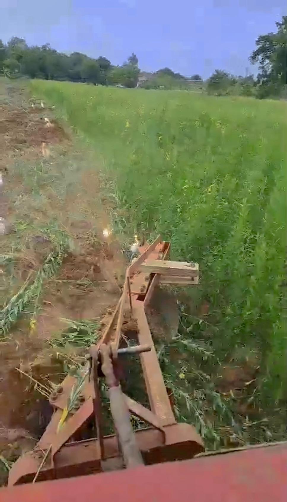 ภาพประกอบที่ 1