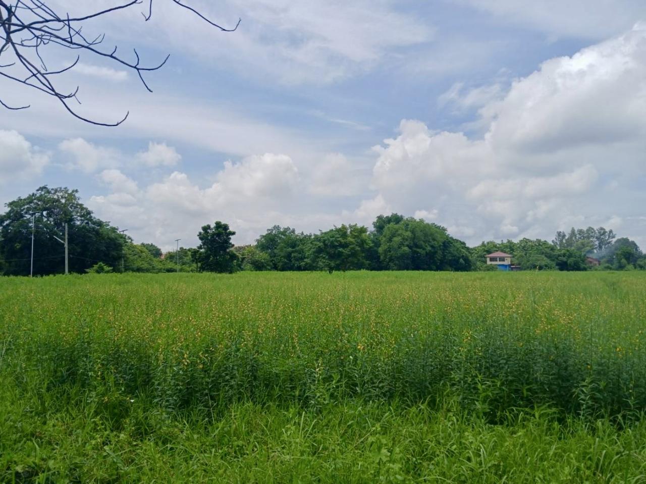 ภาพประกอบที่ 5