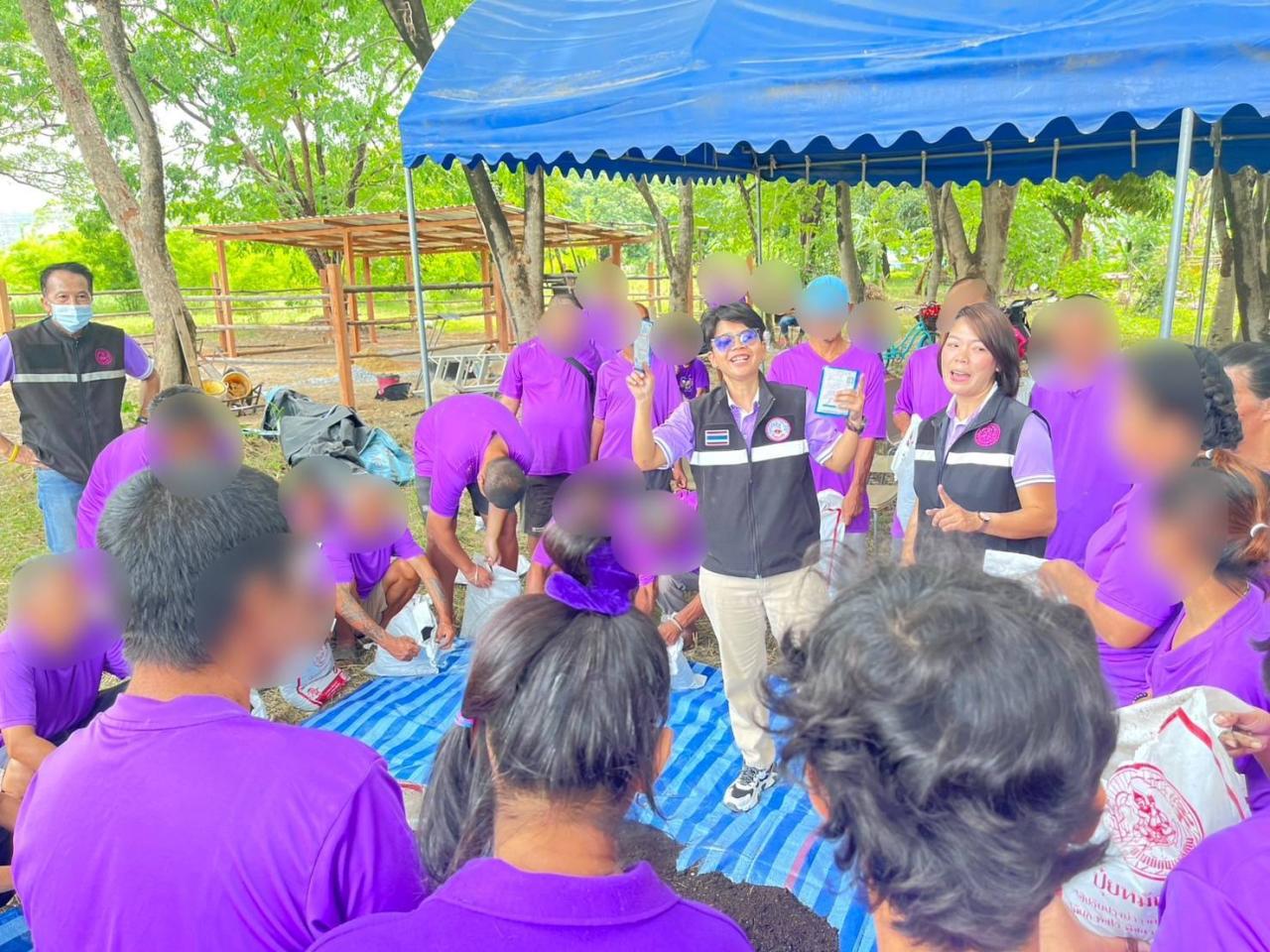 ภาพประกอบที่ 11