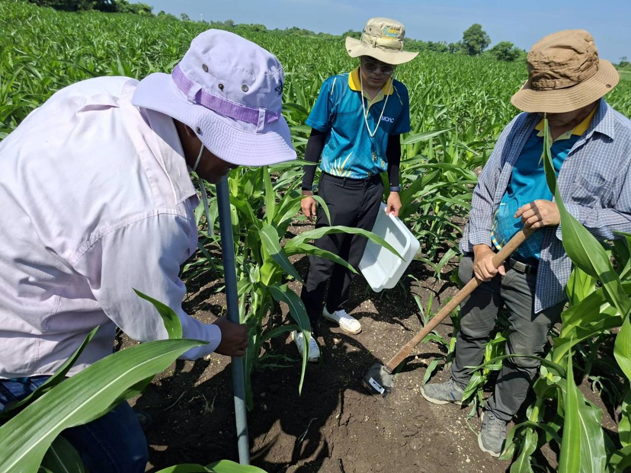 ภาพประกอบที่ 0